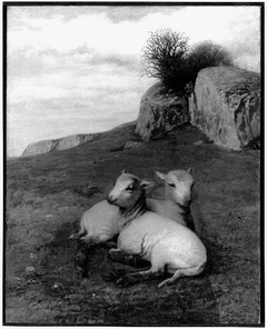 Sheep Pasture by William Morris Hunt
