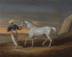 Signal, a Grey Arab, with a Groom in the Desert by David Dalby of York