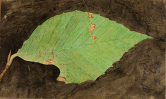 Smaller Spotted Beach Leaf Edge Caterpillar, study for book Concealing Coloration in the Animal Kingdom by Emma Beach Thayer