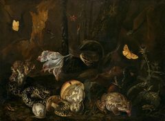 Still life with Insects and Amphibians by Otto Marseus van Schrieck