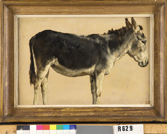 Studie van een ezel by Johannes Hubertus Leonardus de Haas