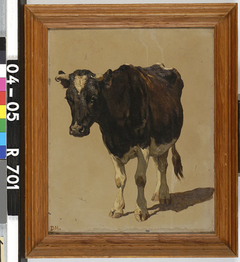 Studie van een jonge stier by Johannes Hubertus Leonardus de Haas