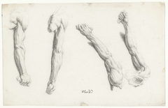 Vier anatomische studies van een rechterarm by Jacob de Gheyn II