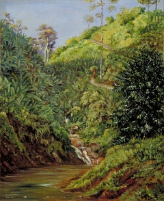 View near Garoet, Java, Wild Bananas and Coffee Bushes in Front