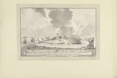 Walvis tussen Zandvoort en Wijk aan Zee aangespoeld, 1762
