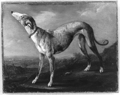 Windhund by Georges-Frédéric Meyer