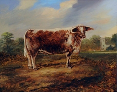 A Prize Bull in front of Calke Church by Thomas Weaver