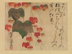 Autumn Ivy by Ogata Kenzan