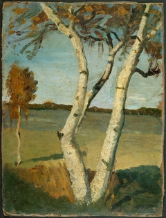 Birch Tree in a Landscape