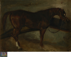 Bruin paard by Théodore Géricault