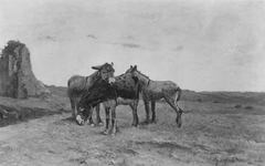 Donkeys in the Campagna by Giuseppe Raggio