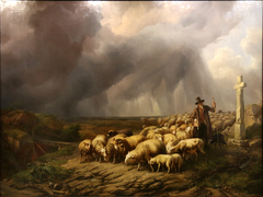 Flock of sheep surprised by the storm