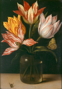 Glass vase with four tulips