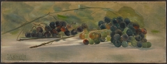 Grapes on a Ledge by John Haberle