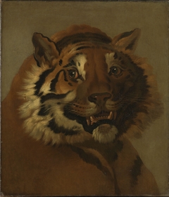 Head of a Tiger by Johann Heinrich Wilhelm Tischbein