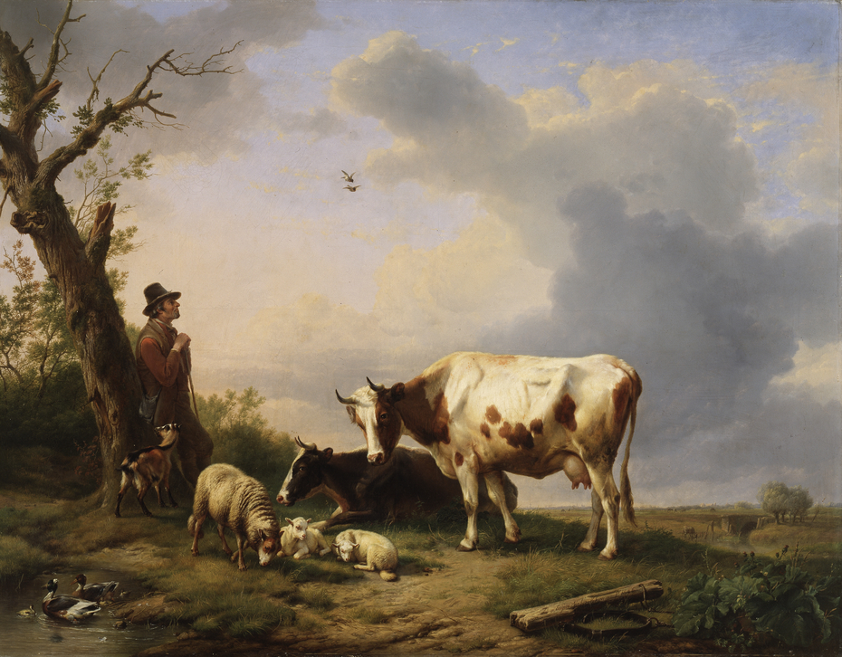 Landscape with animals