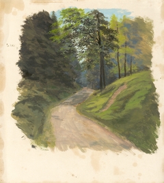Mountain Road by Jan Nowopacký