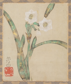 Narcissus by Nakamura Hōchū