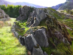 Outcrop, Snowdonia by Harry Robertson