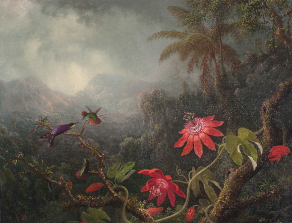 Passion Flowers with Three Hummingbirds
