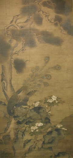 Peacock with Pine and Camellia by Zhu Duan