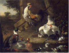 Poultry by Melchior d'Hondecoeter