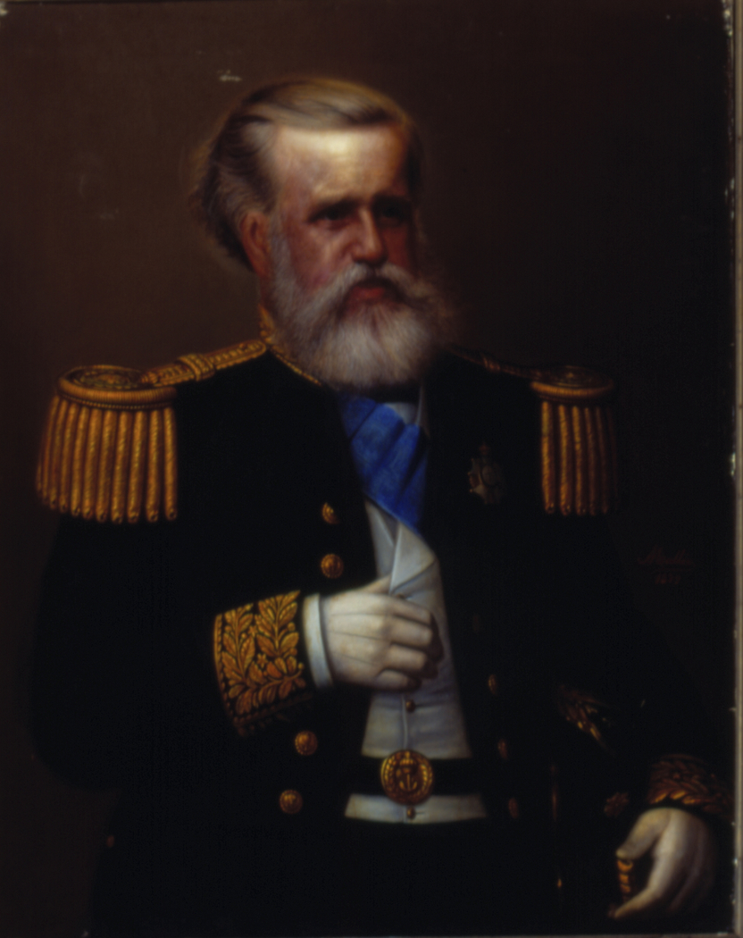 Retrato de D. Pedro II, 1879