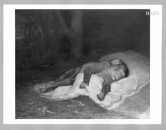 Schlafender Affe, schmerzvergessen by Gabriel von Max