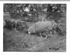 Sheep by Heinrich von Zügel