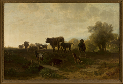 Shepherd with cattle