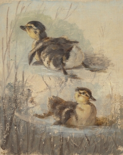 Study of Ducks on the Water II. by Friedrich Carl von Scheidlin