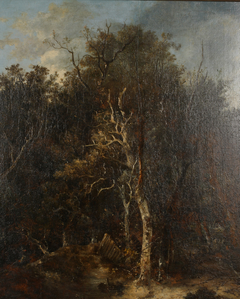 The Edge of the Forest by John Crome