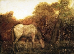 The Grazing Horse