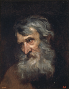 The Head of an Old Man by Anthony van Dyck
