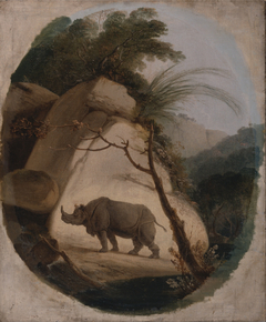 The Indian Rhinocero by Thomas Daniell