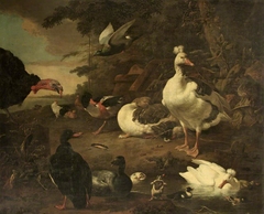 Turkey, Geese, Shelduck, and other Fowl, in a Landscape with a Stream by Melchior d'Hondecoeter