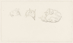 Twee schetsen van de kop van een kat en een liggende hond by Pieter Bartholomeusz Barbiers