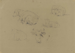 Vier studies van een schaap en één van een koe by Albert Gerard Bilders