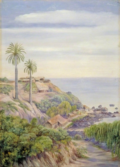 View of Concon, Chili, with Its Two Palms
