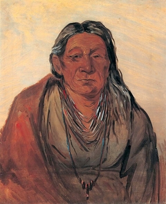 Wah-pe-séh-see, Mother of the Chief by George Catlin