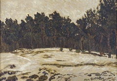 Winter landscape: Forest of Stroomi